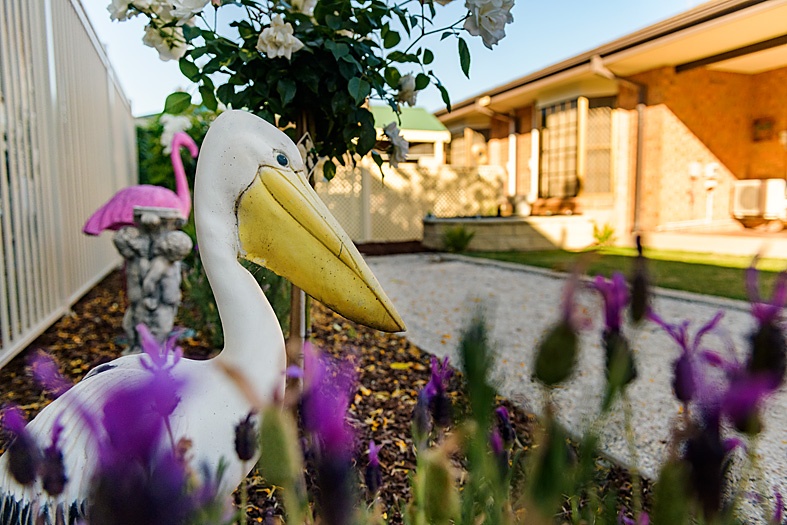 Infinite Aged Care - Rose Court