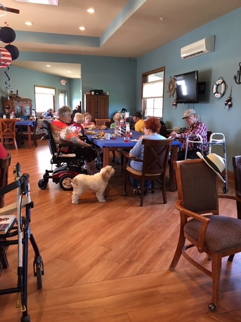 Diamond Willow Assisted Living & Memory Care