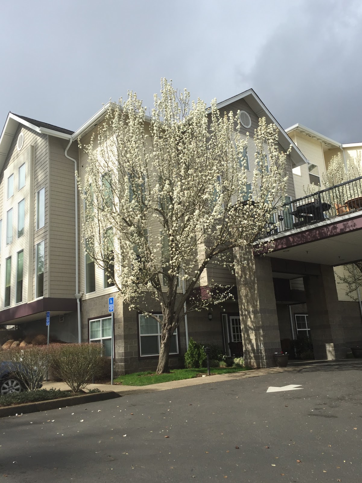 Prestige Senior Living Orchard Heights