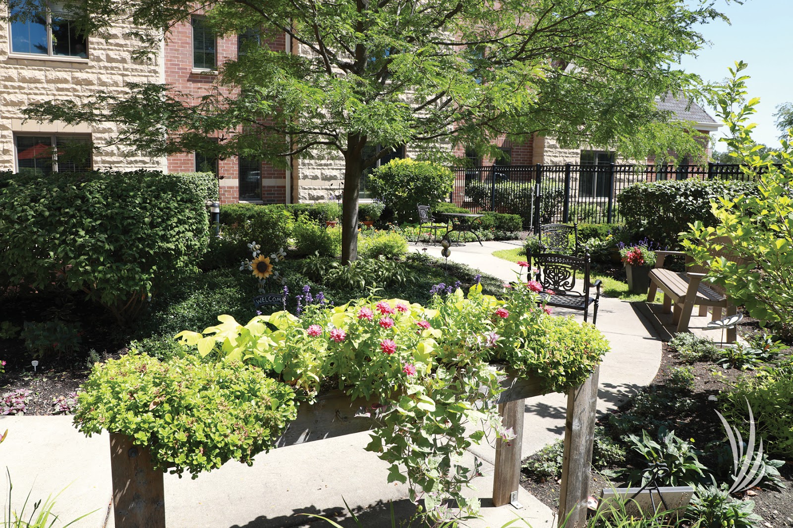 Park Place Health and Wellness Center