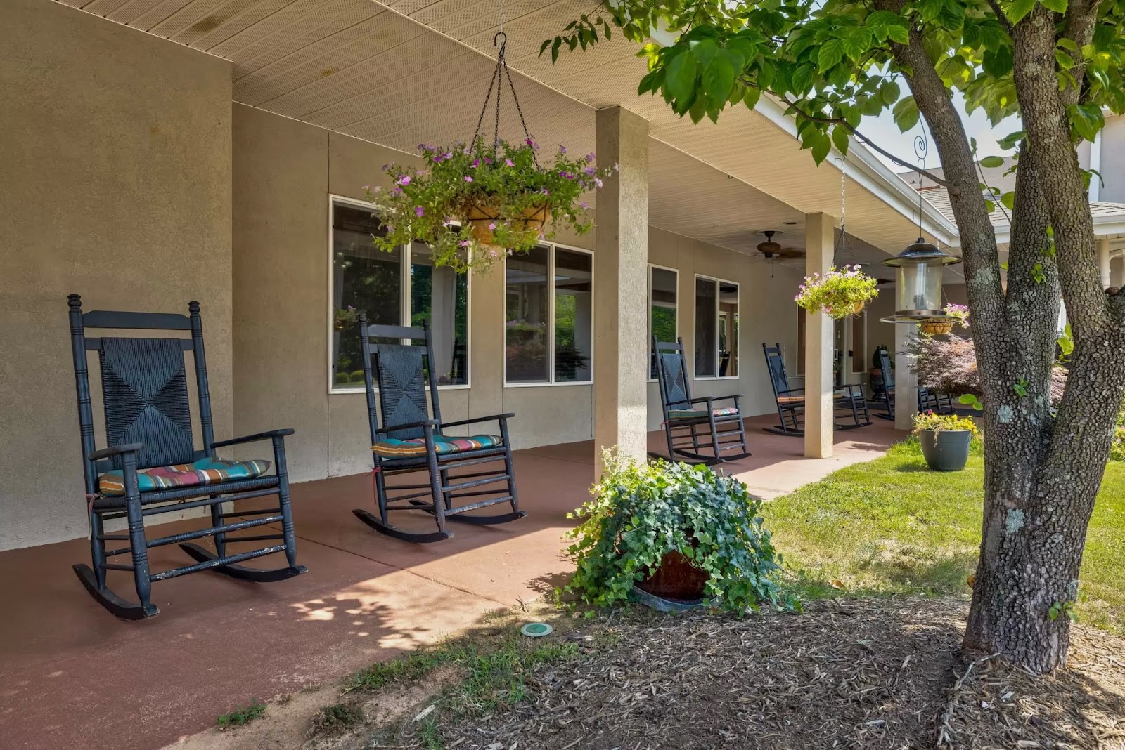 TerraBella Greenville