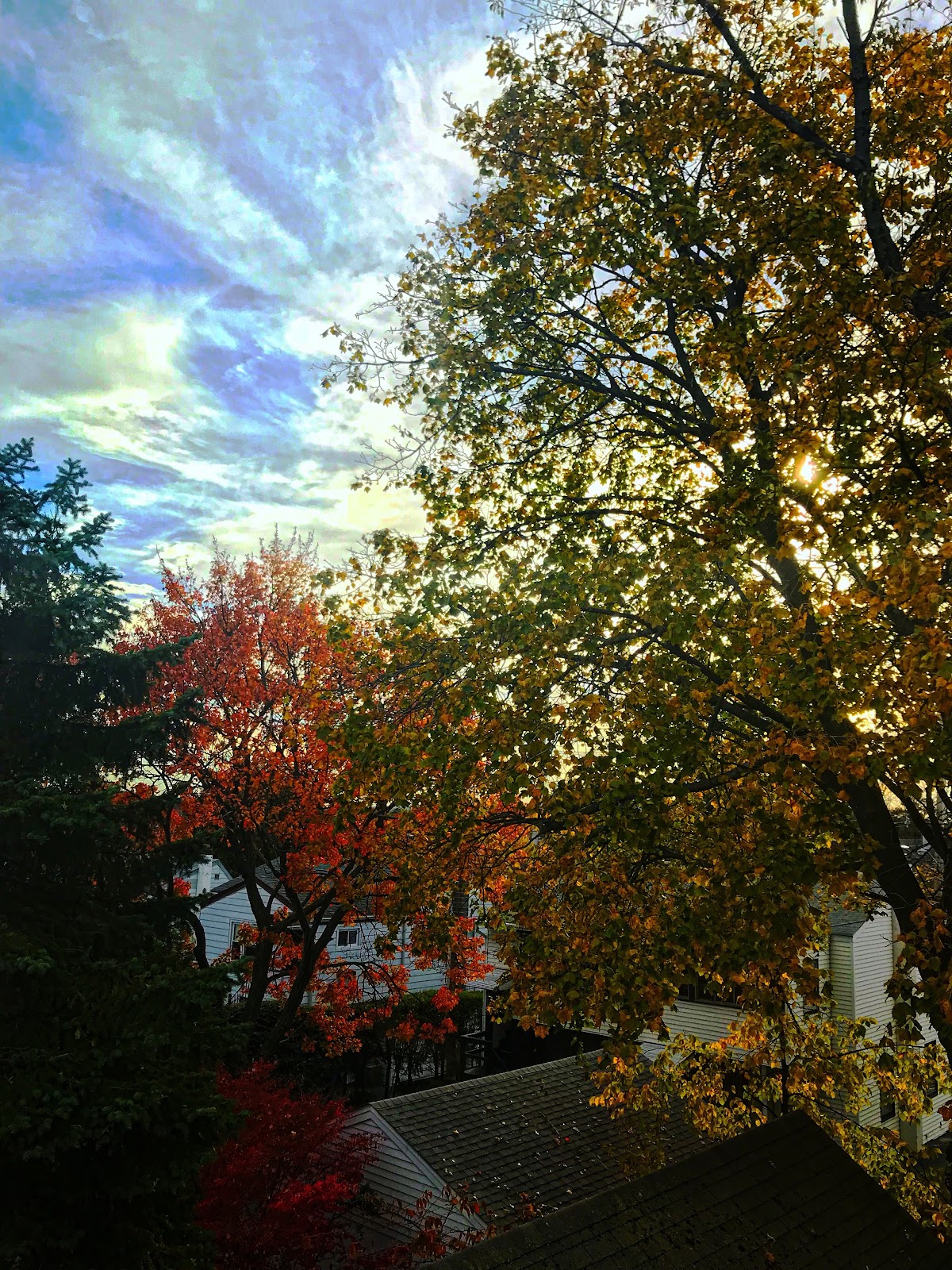 Fair Lawn Senior Center