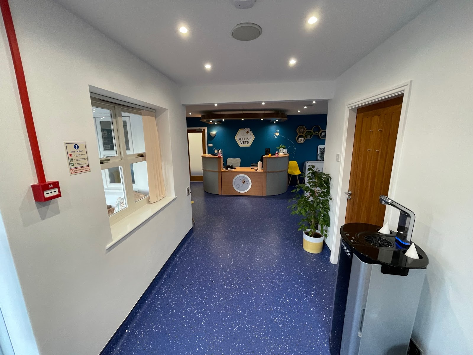 Beehive Vets (Rothwell)