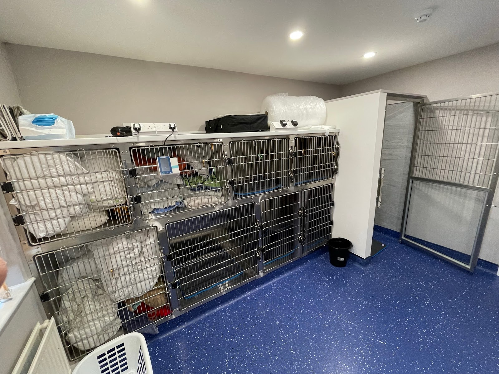 Beehive Vets (Rothwell)