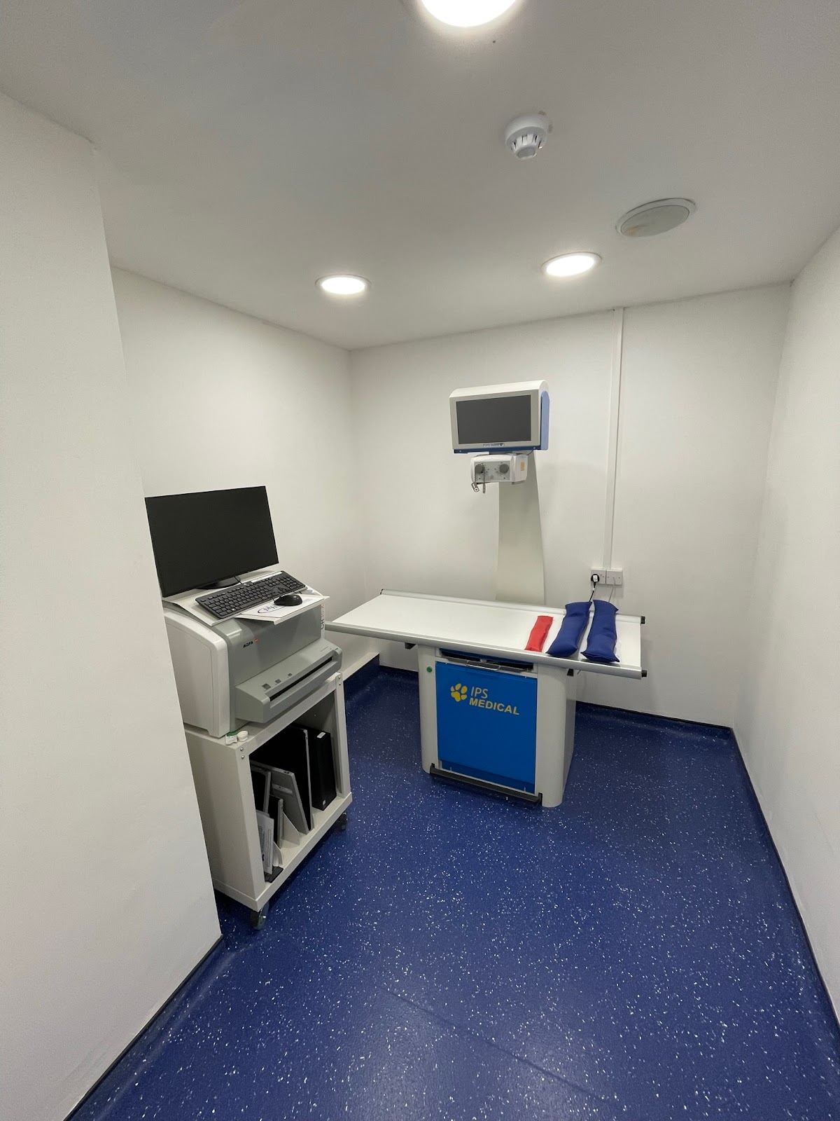 Beehive Vets (Rothwell)