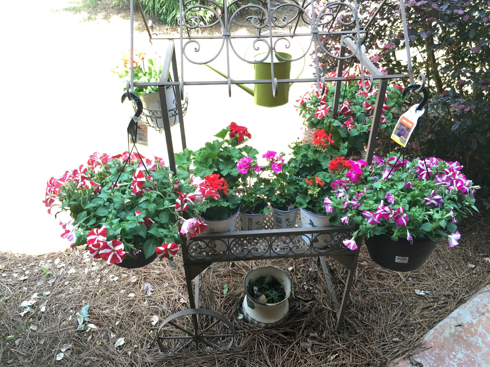 Angels Garden Senior Community PCH Assisted Living & Memory Care