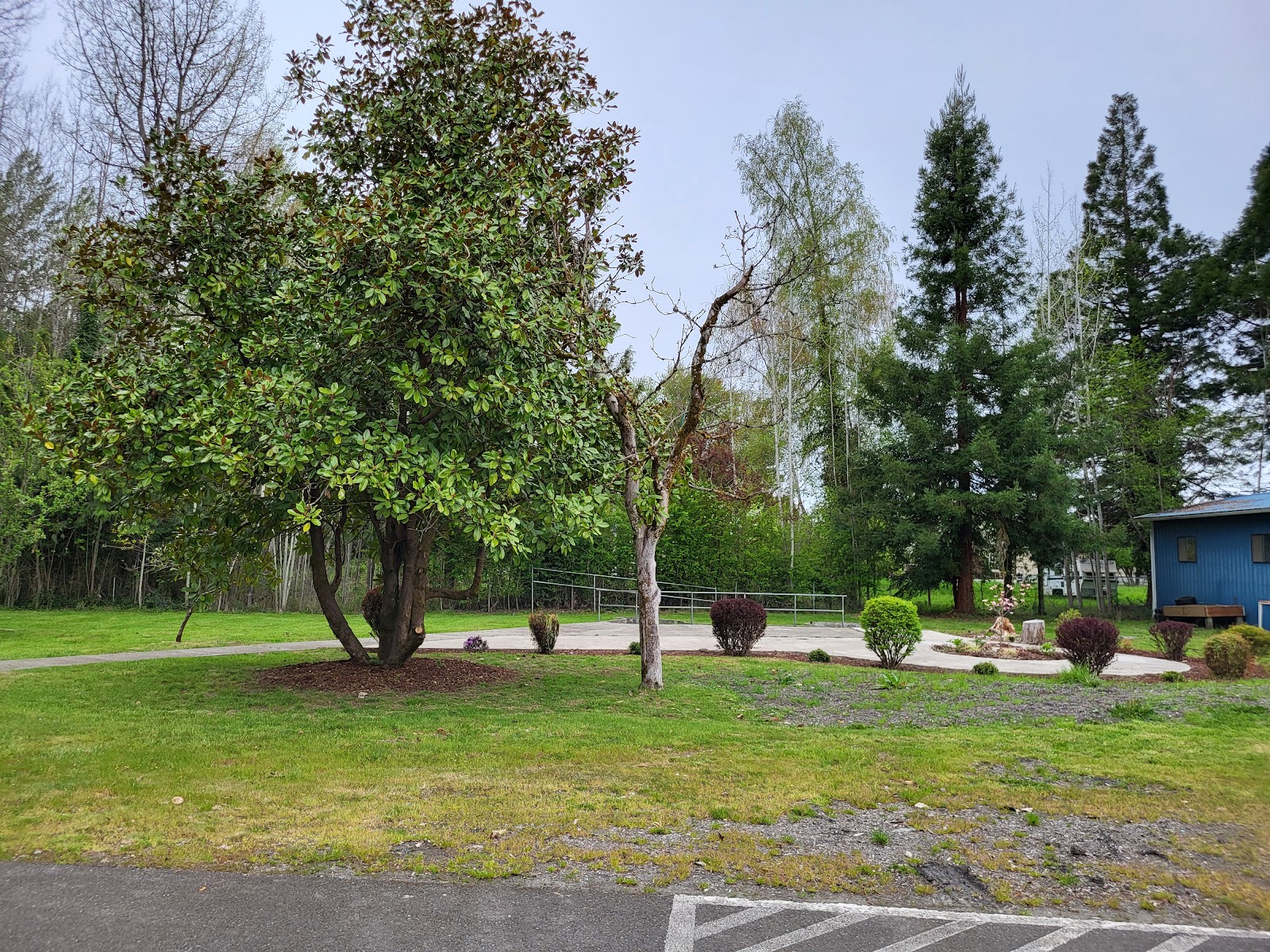 Wellspring Centralia