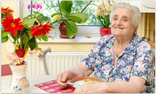 The Holy Family Nursing Home