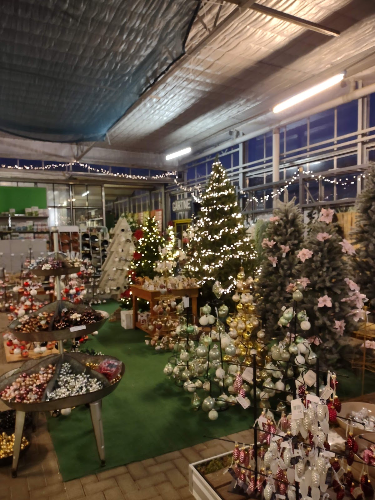 Gartencenter Braun GbR - Bondorf