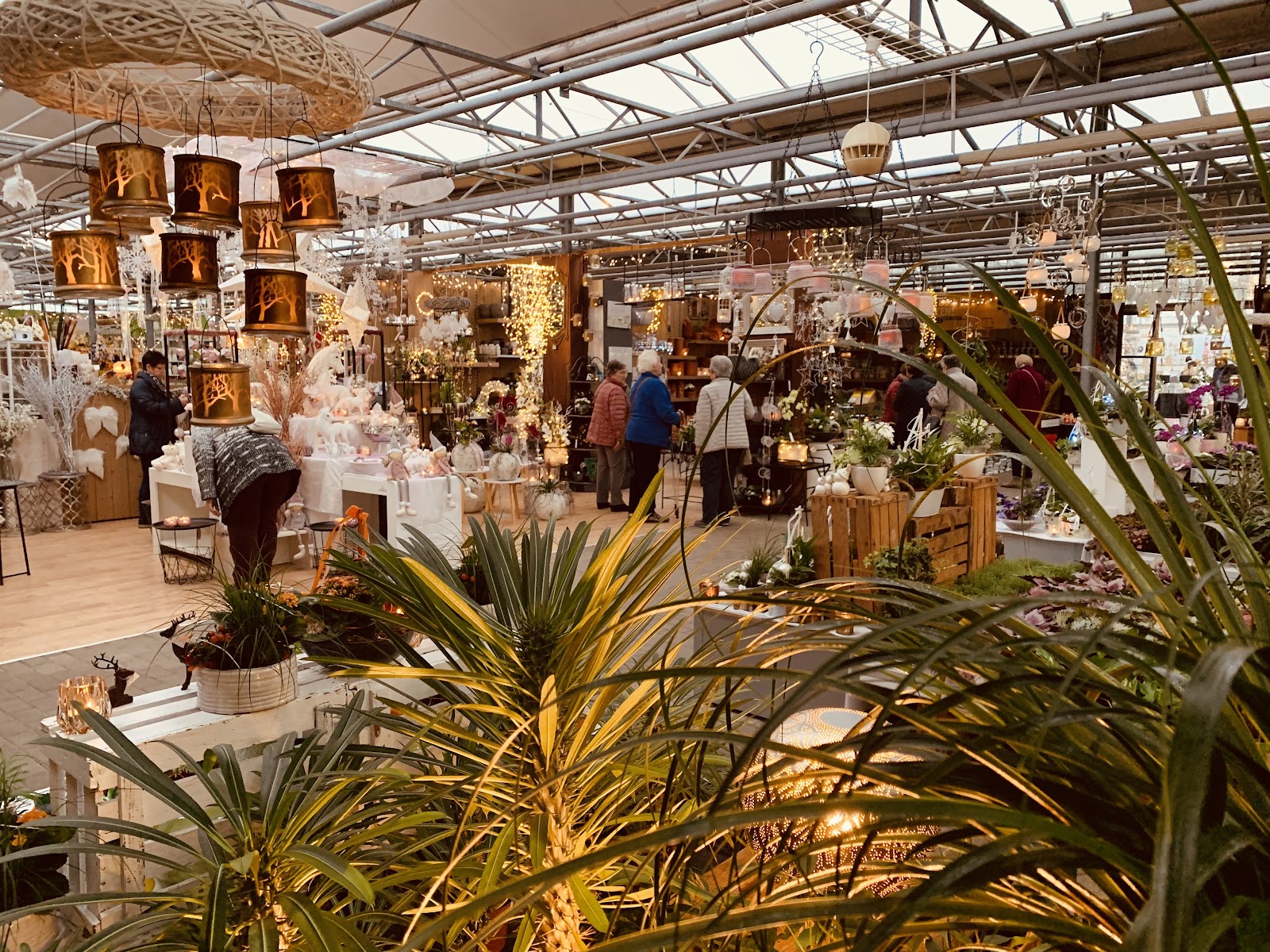 Gartencenter Braun GbR - Bondorf