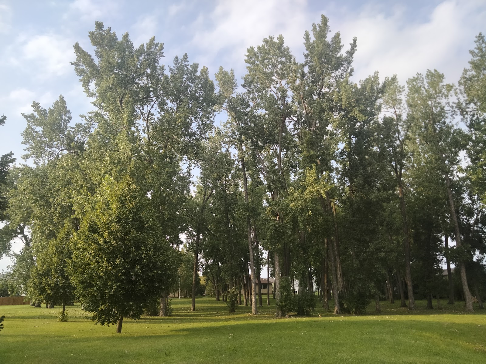 Arbor Park