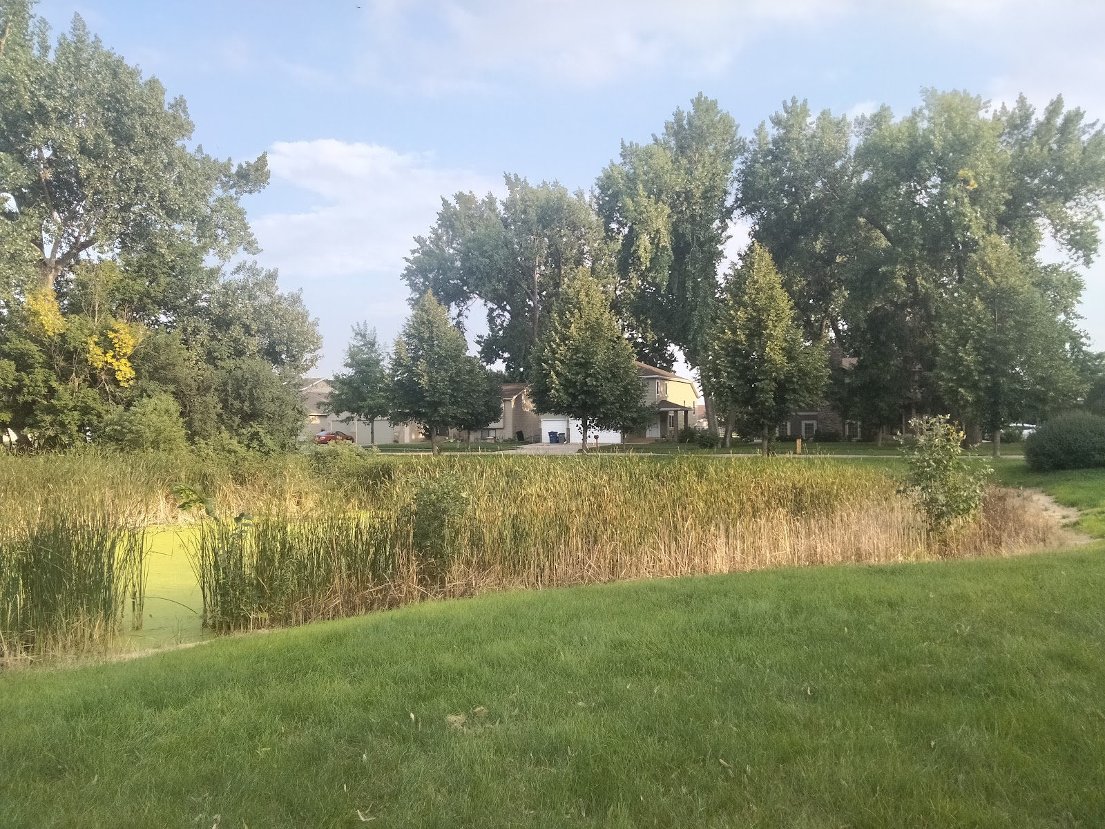 Arbor Park
