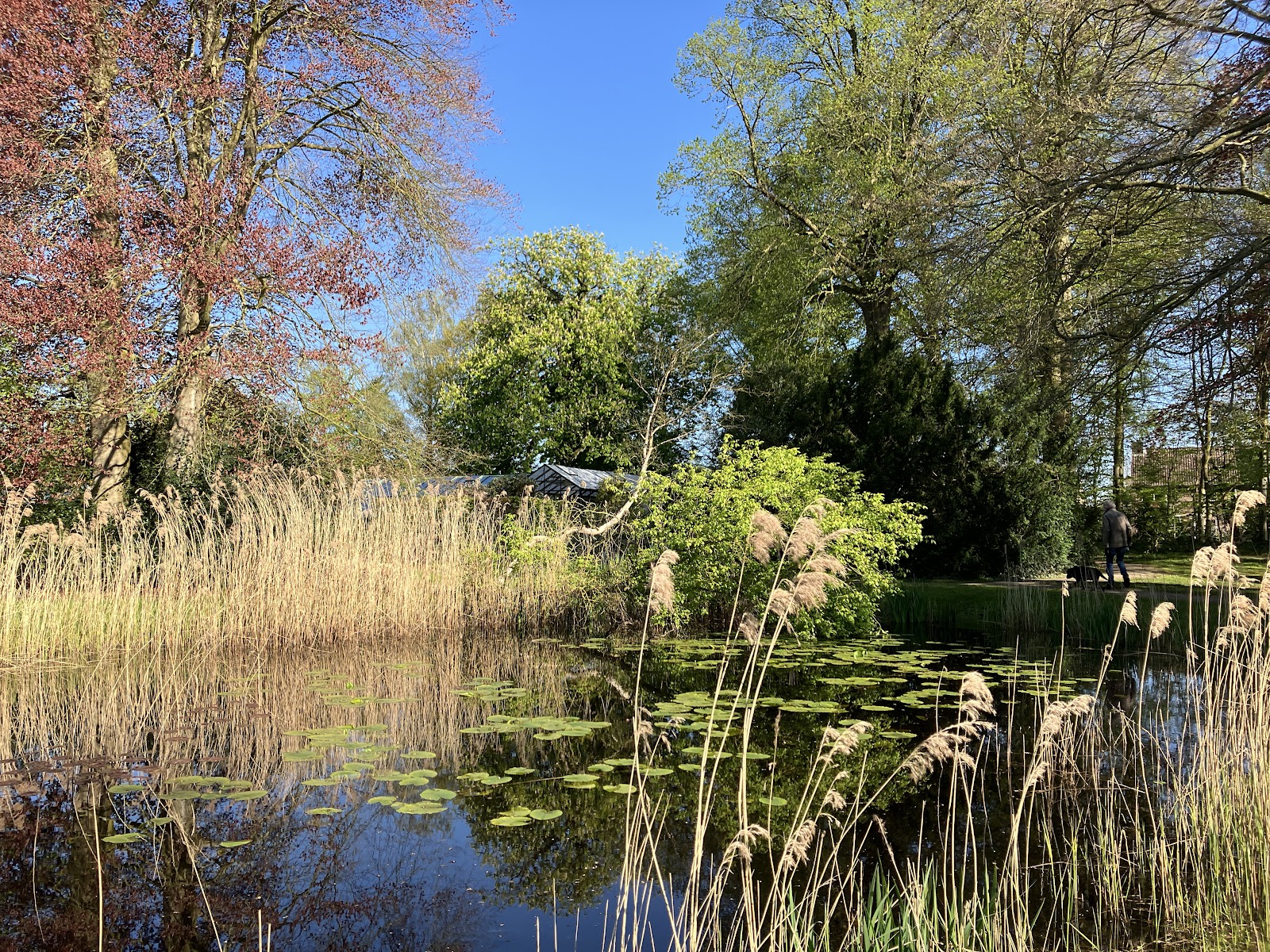 Overtuin Lycklamahuis