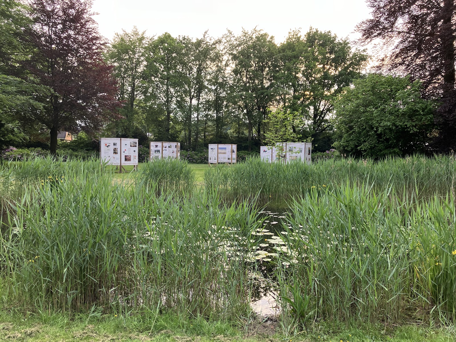 Overtuin Lycklamahuis