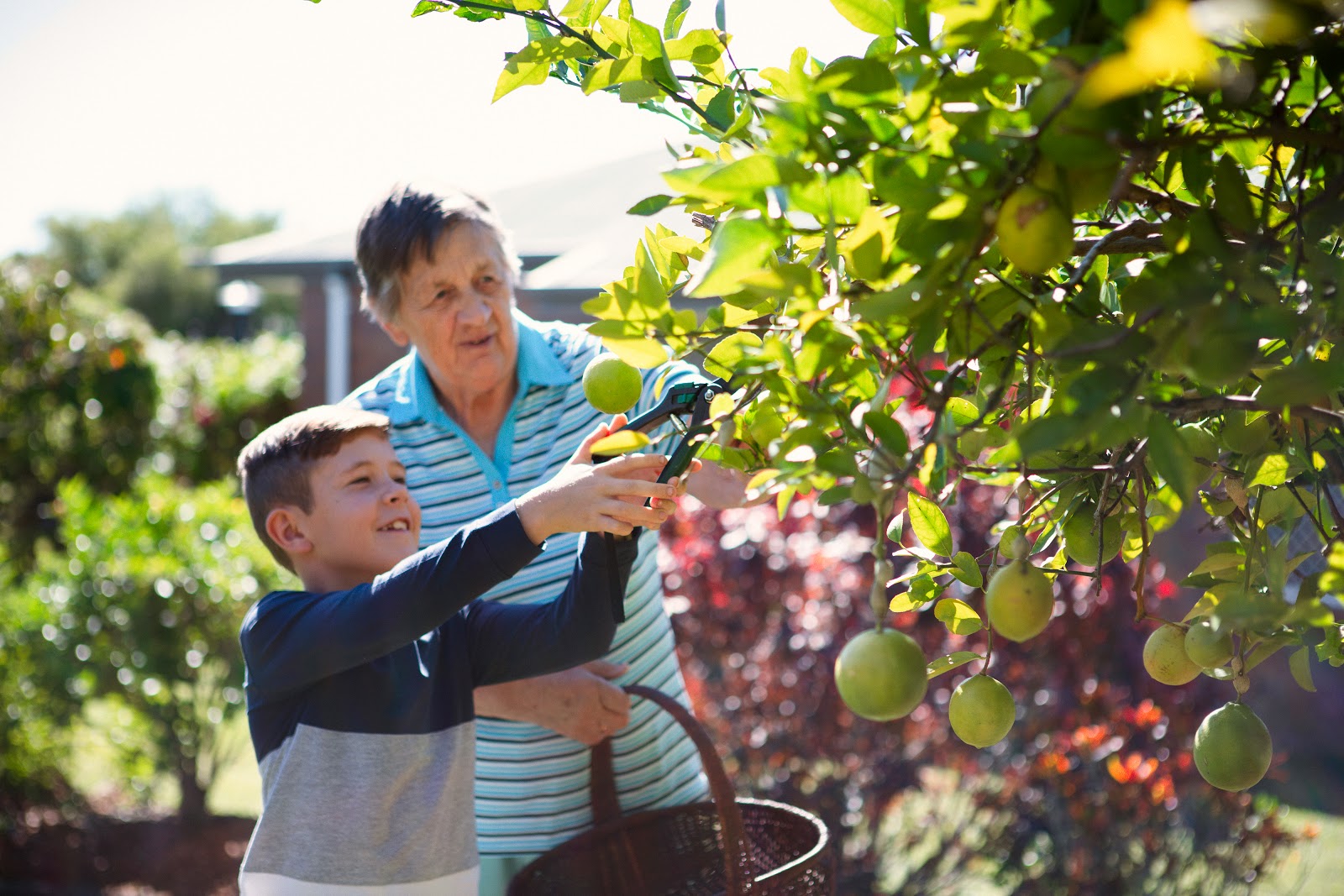St Paul's Retirement Living and Aged Care