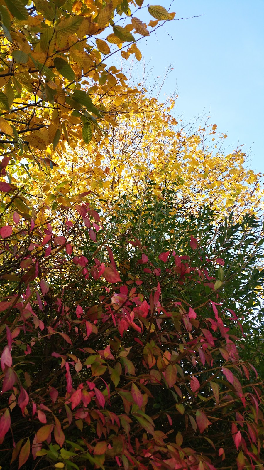 Seniorama Im Tiergarten