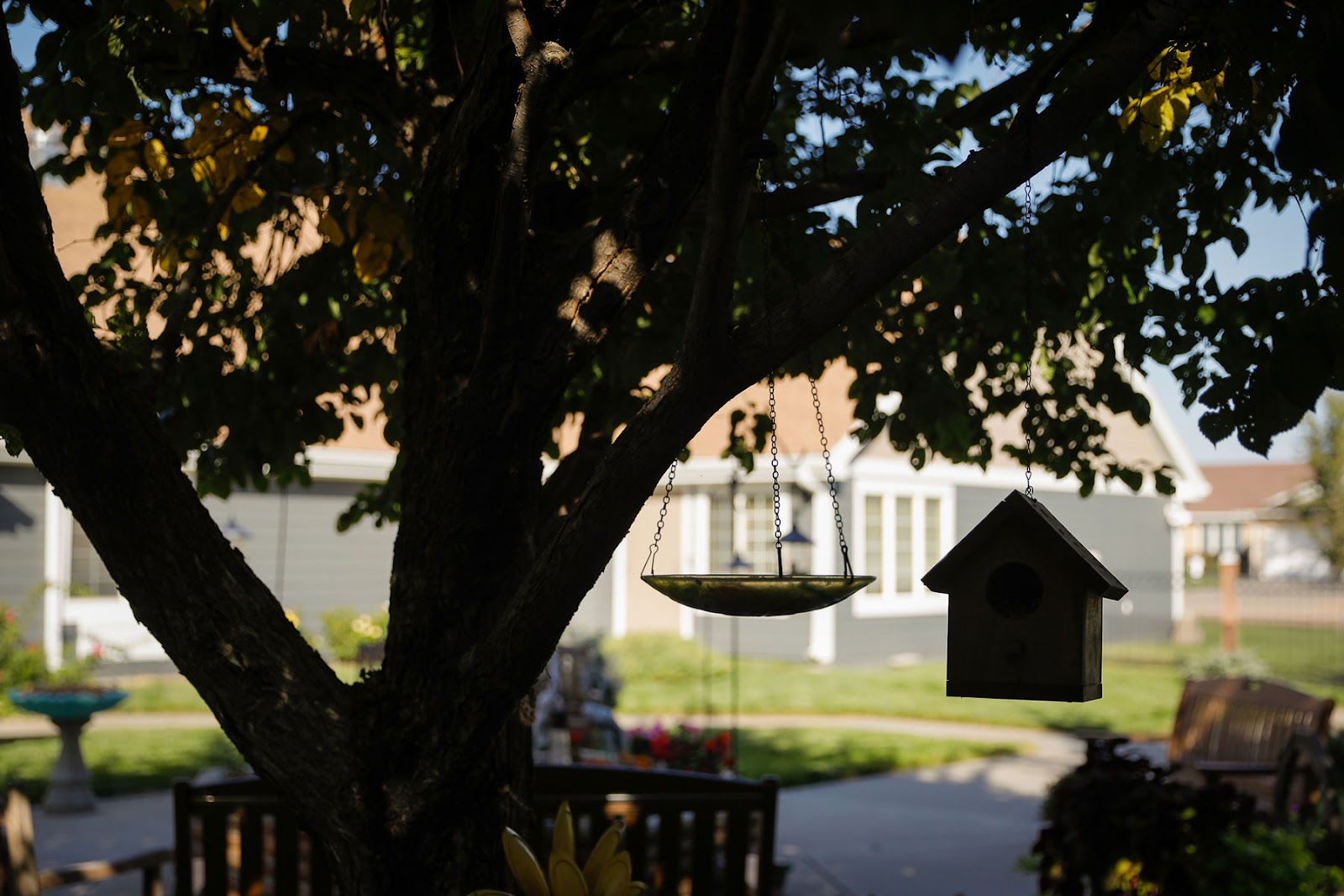 Homestead Assisted Living of Garden City