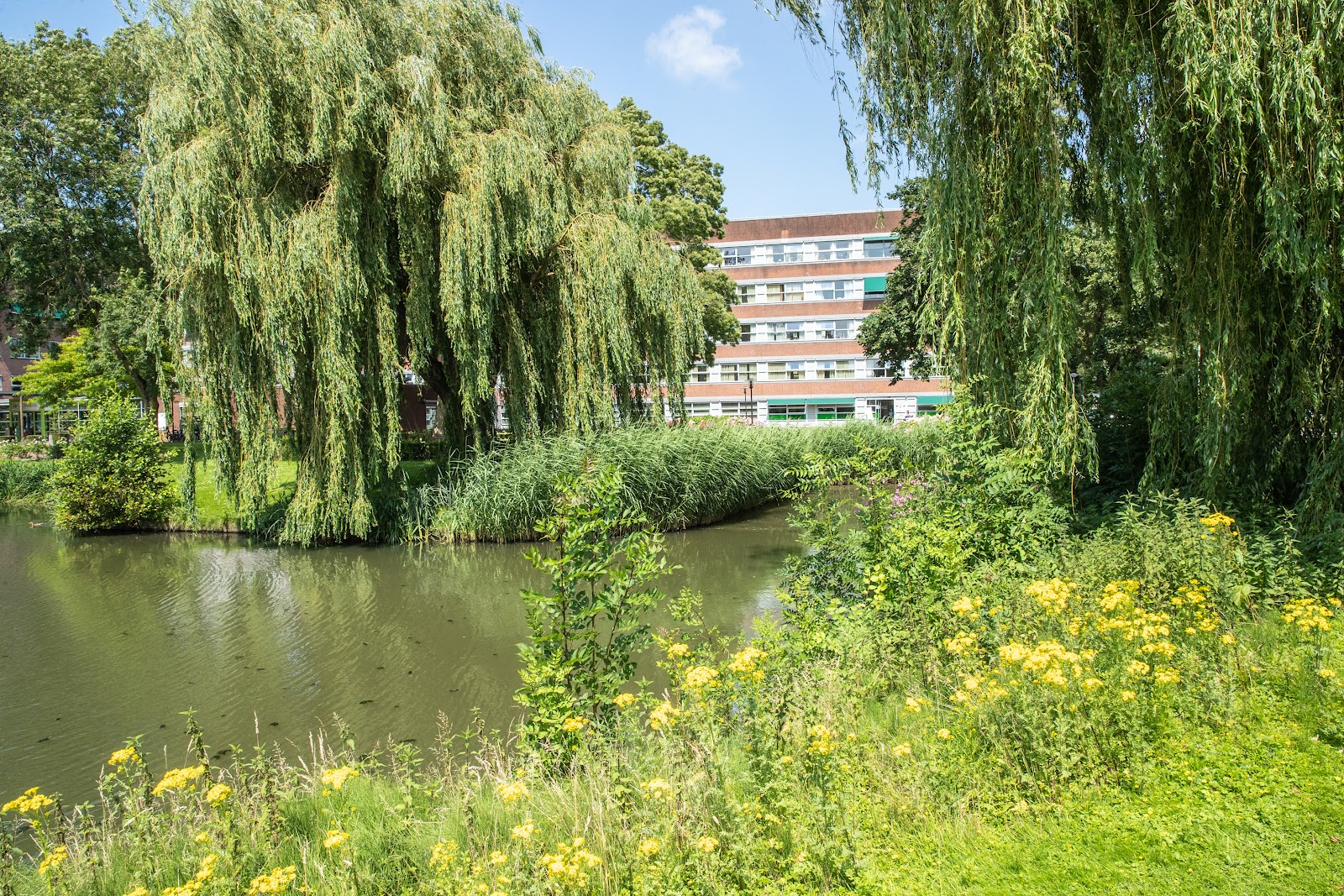 Salios, locatie Swinhove