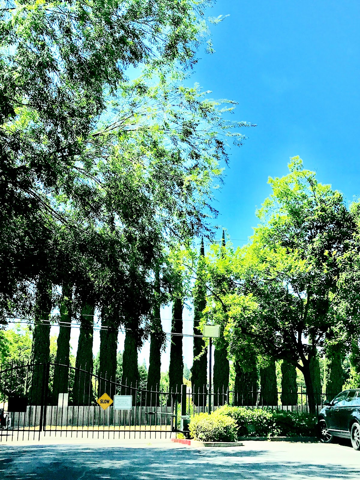 Carlton Senior Living Orangevale