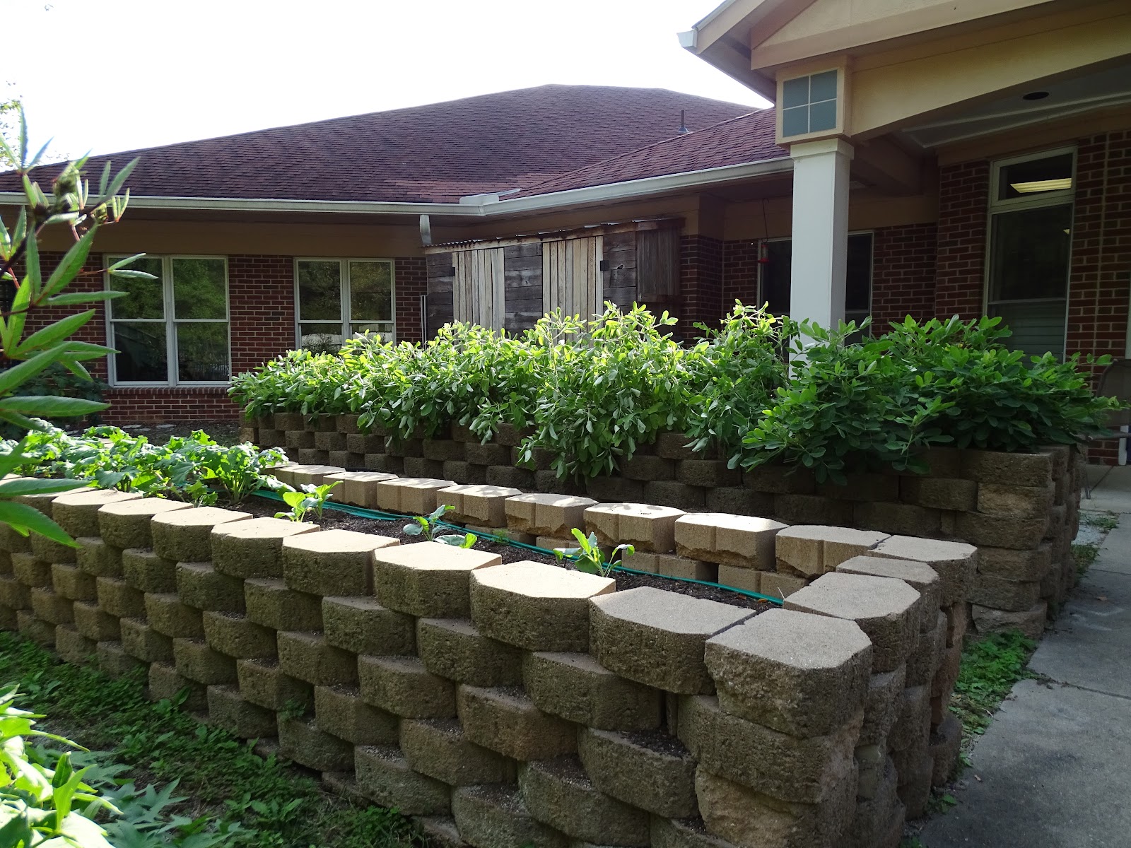 Charles House Eldercare Center