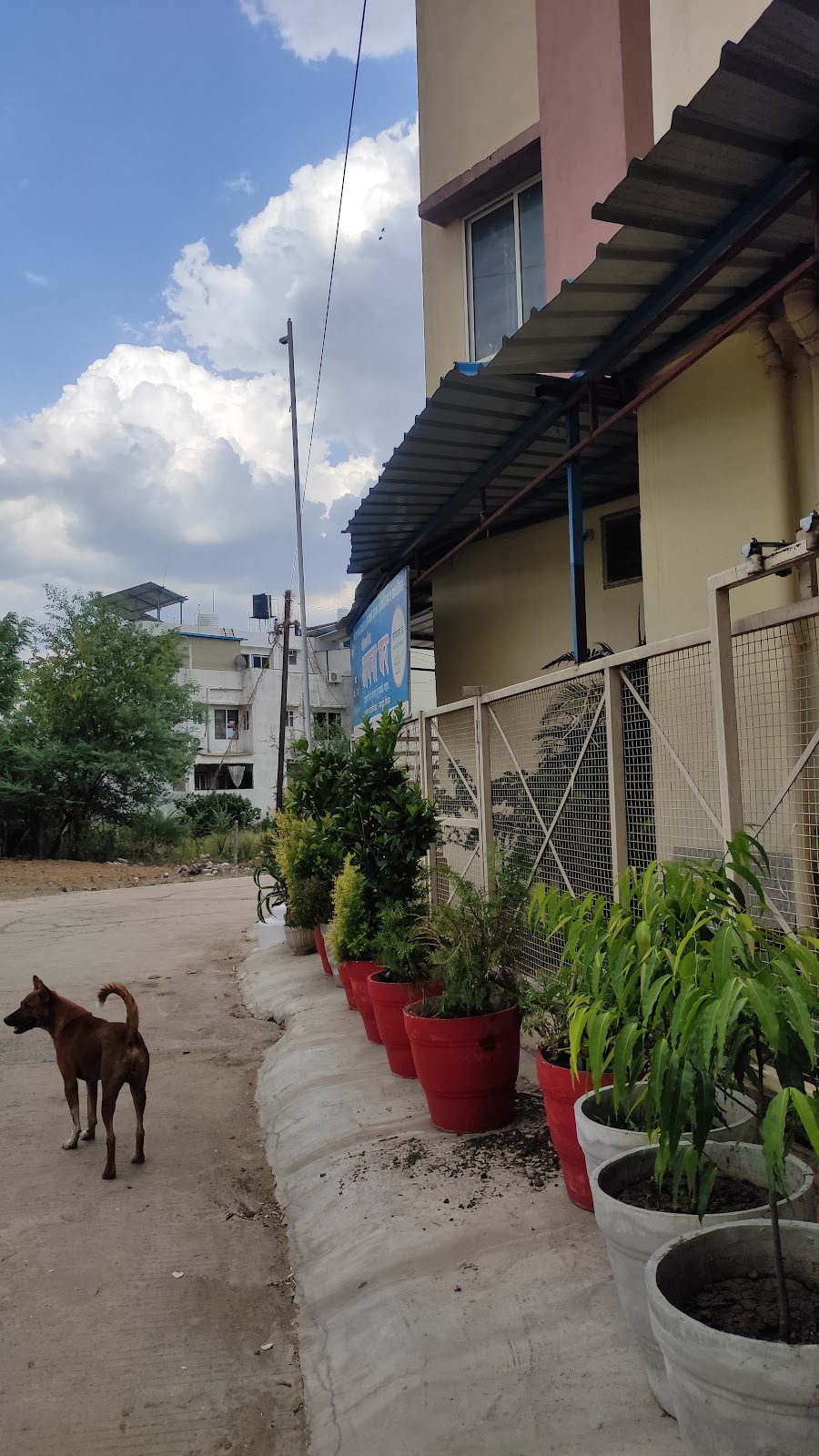 APNA GHAR