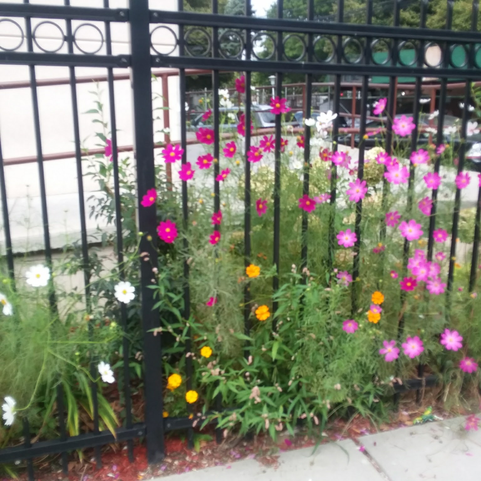 Bronxwood Assisted Living