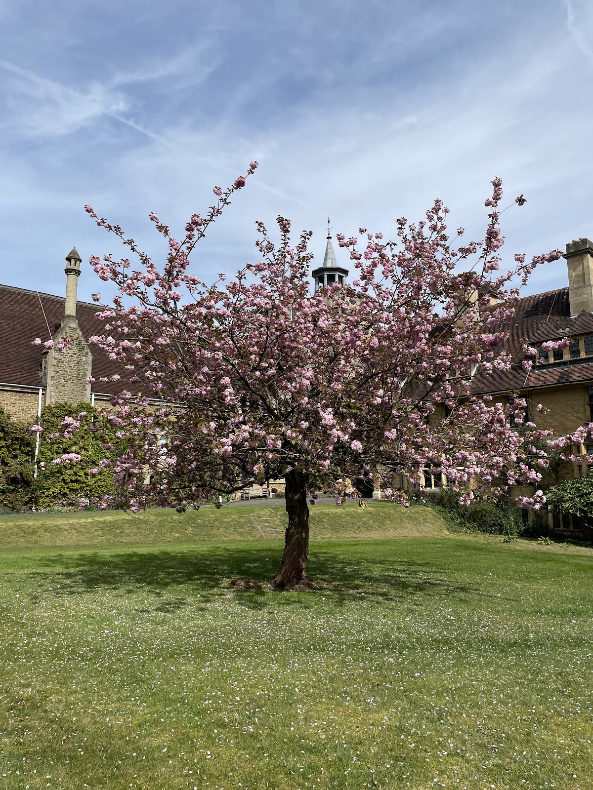 St Christopher's Care Home, Ascot Berkshire