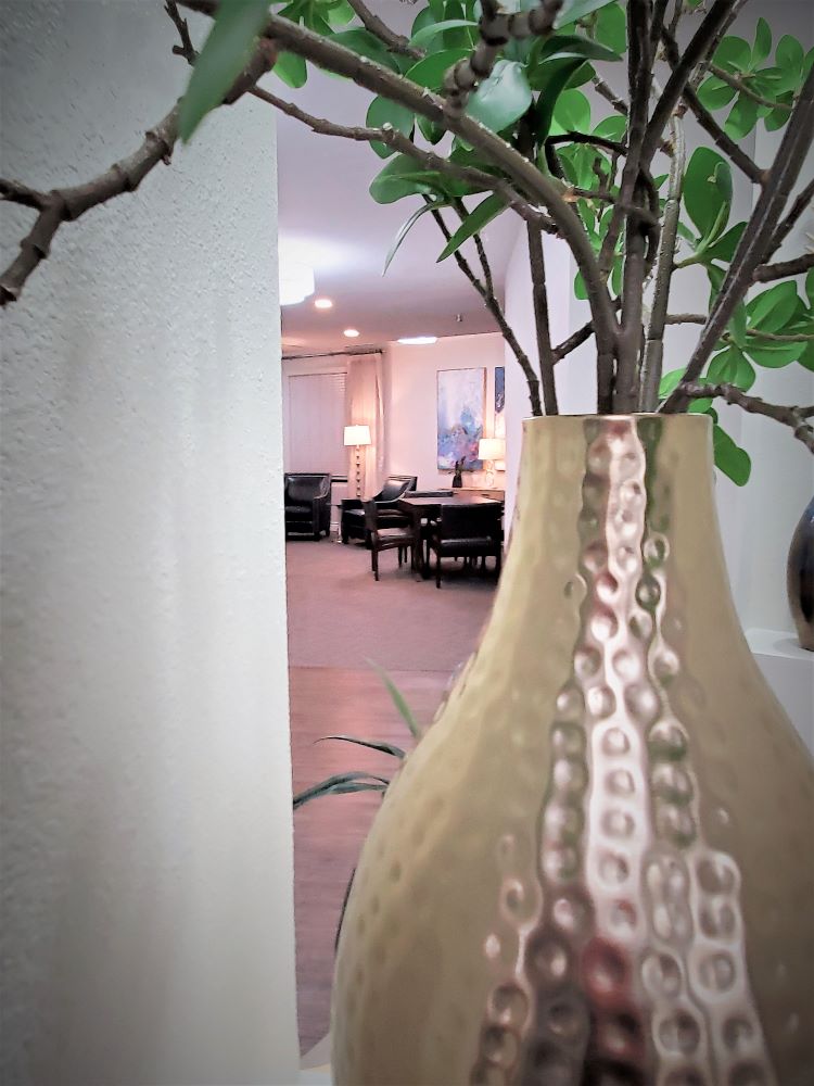 Terraza Court Senior Living