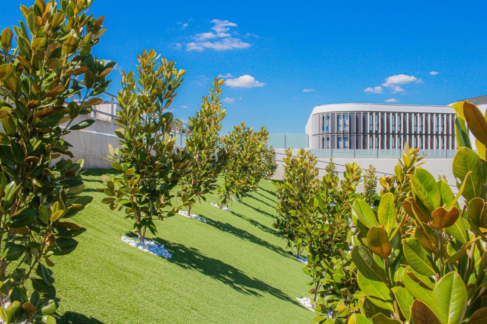 Residencia de Ancianos Vitalia Majadahonda | VITALIA HOME