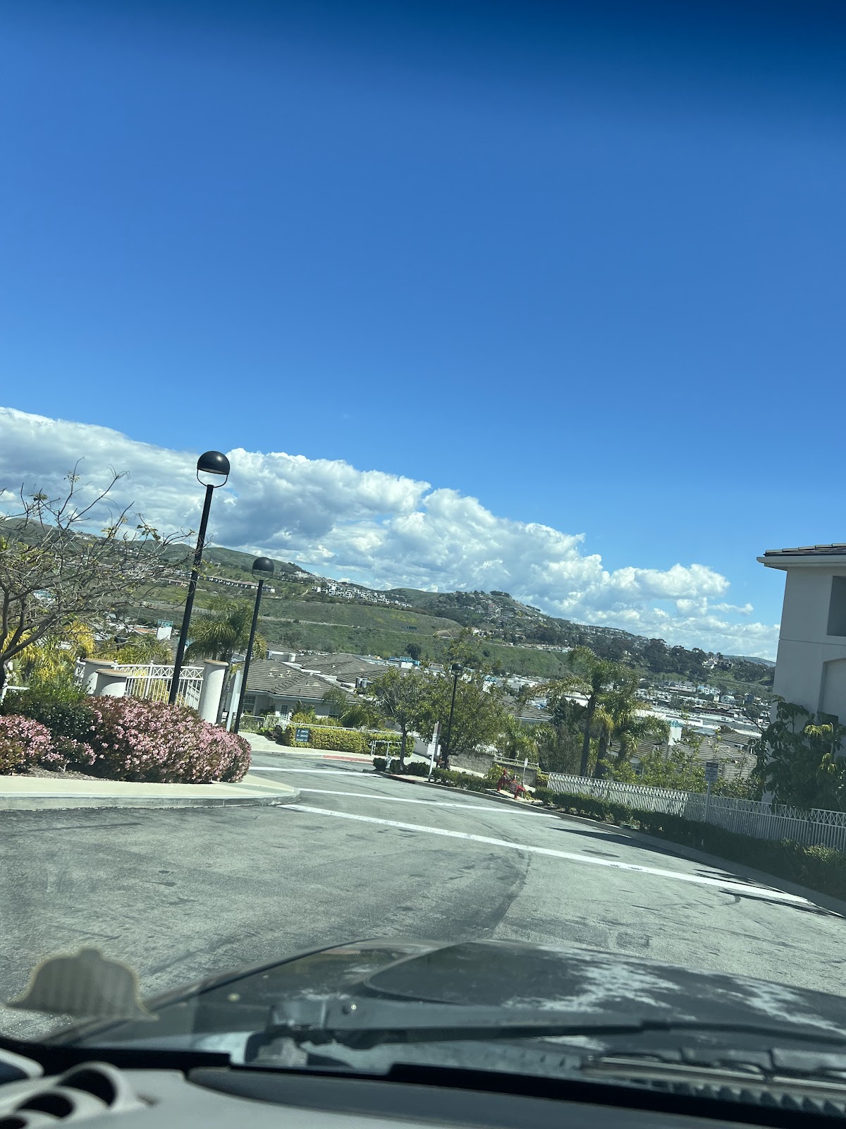 Sea Bluffs, Ivy Signature Living