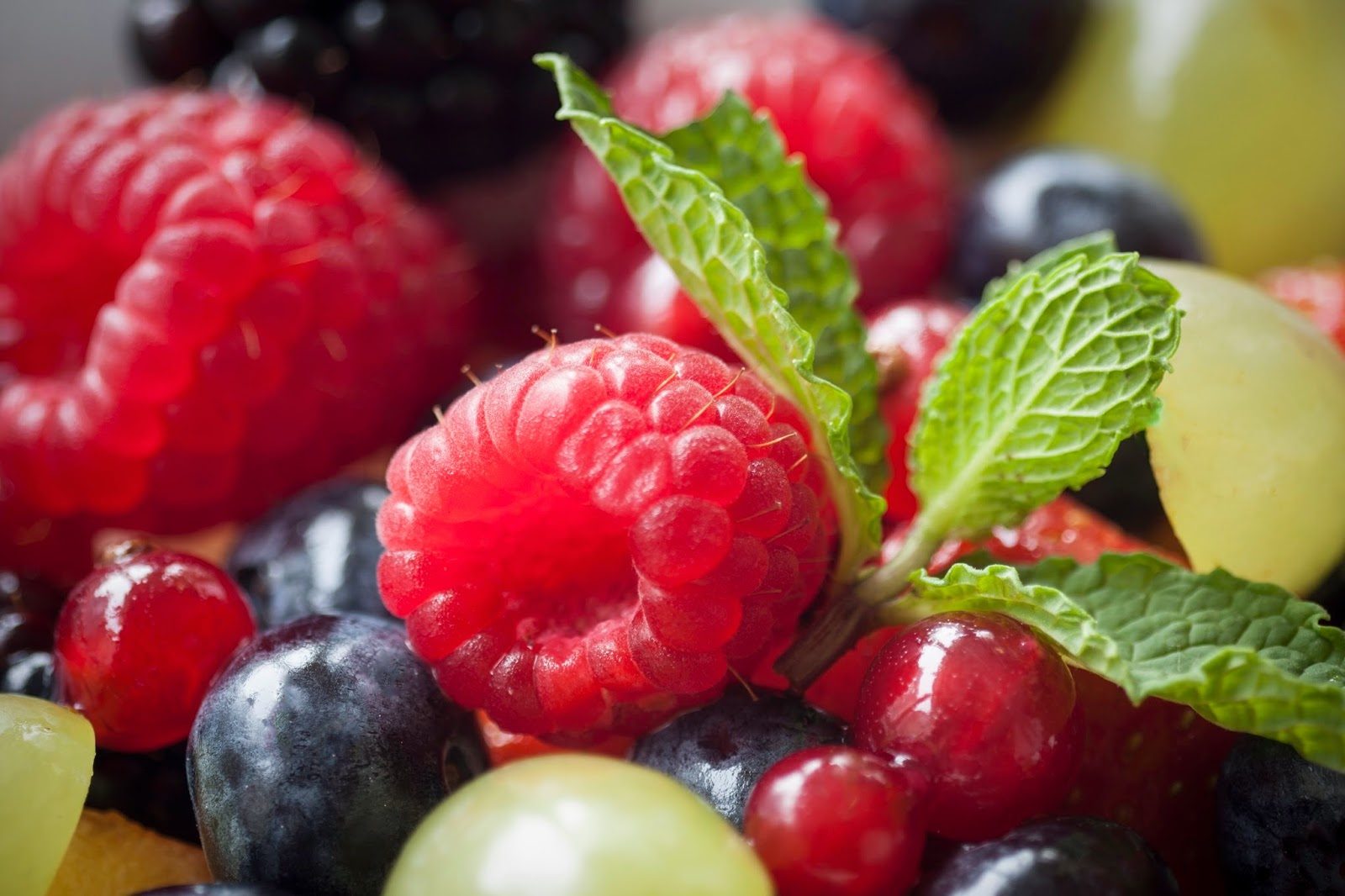 Care Home Edinburgh | Elder Homes