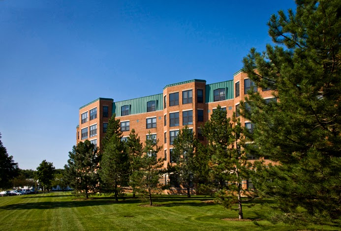 Oak Trace