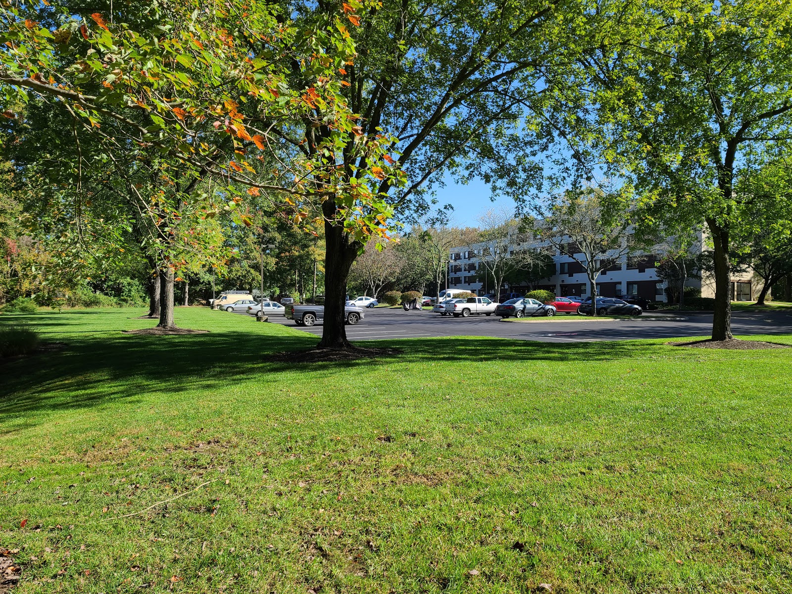 Burton Manor Senior Apartments