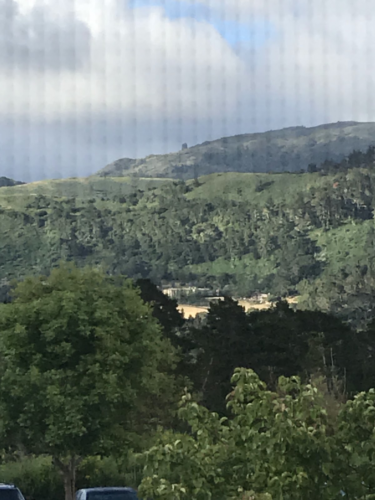 Pacific Meadows