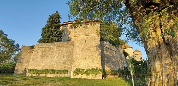 Residenz Schloß Stetten