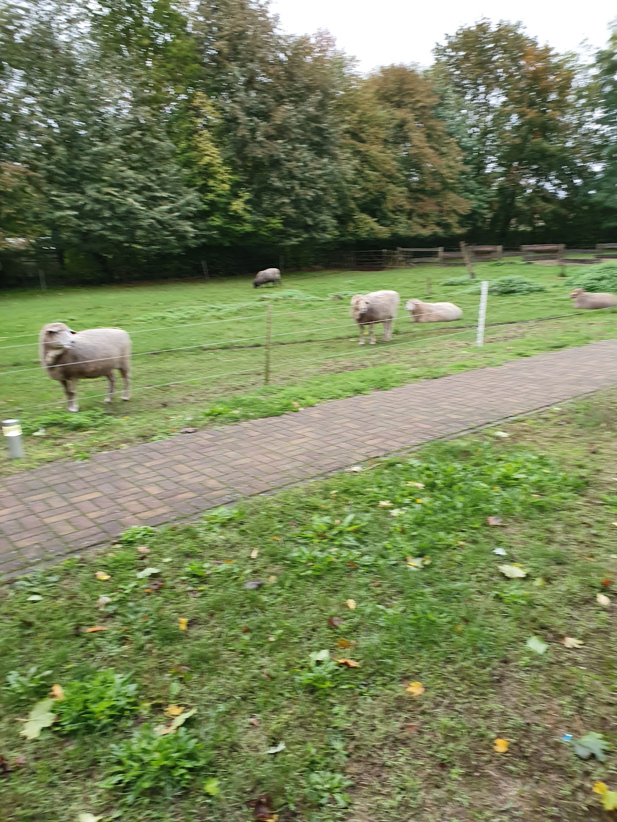 Seniorenwohnpark am Kirschberg