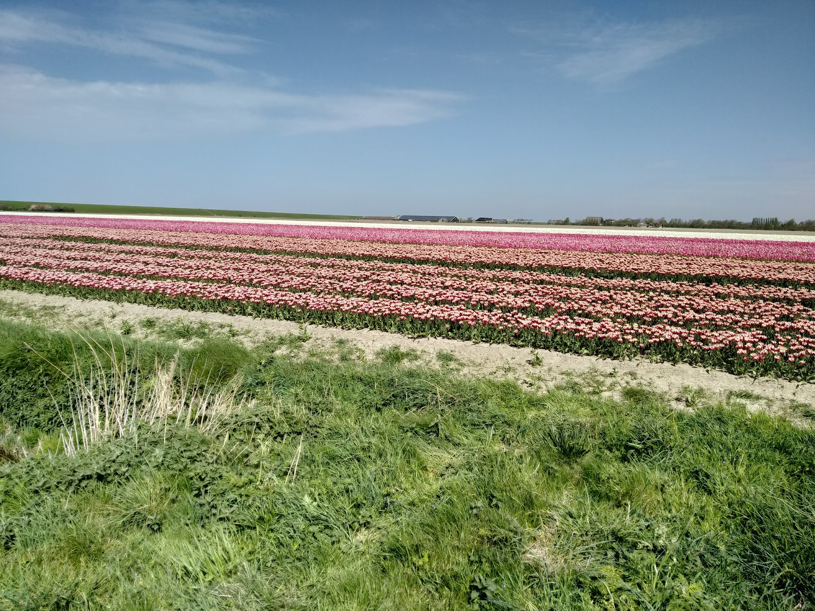 Gerbranda State