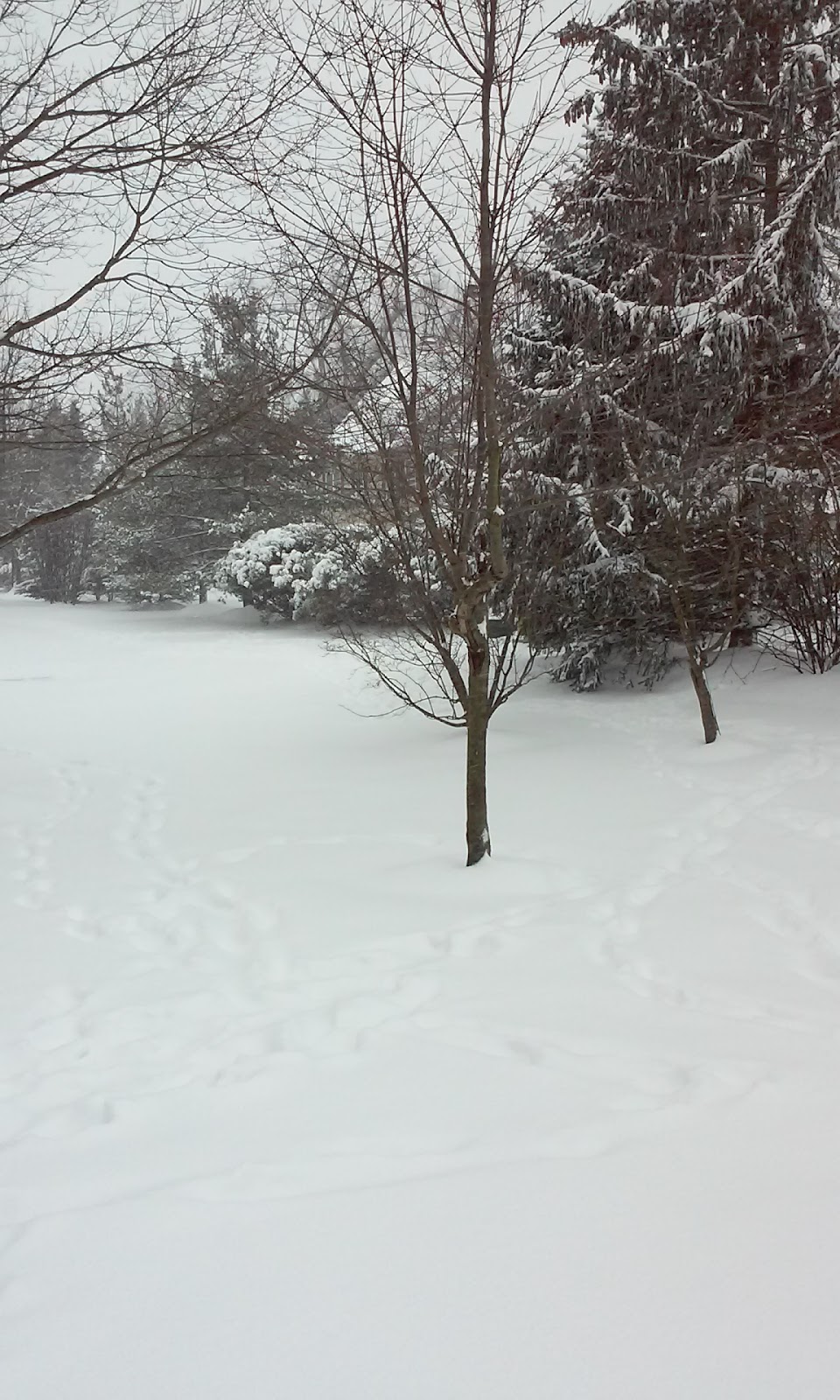 Allaire Crossing