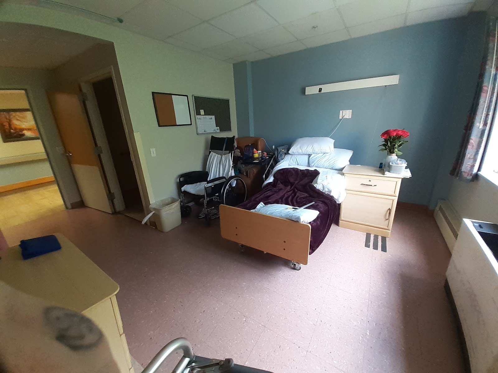 Absolut Center for Rehabilitation and Nursing
