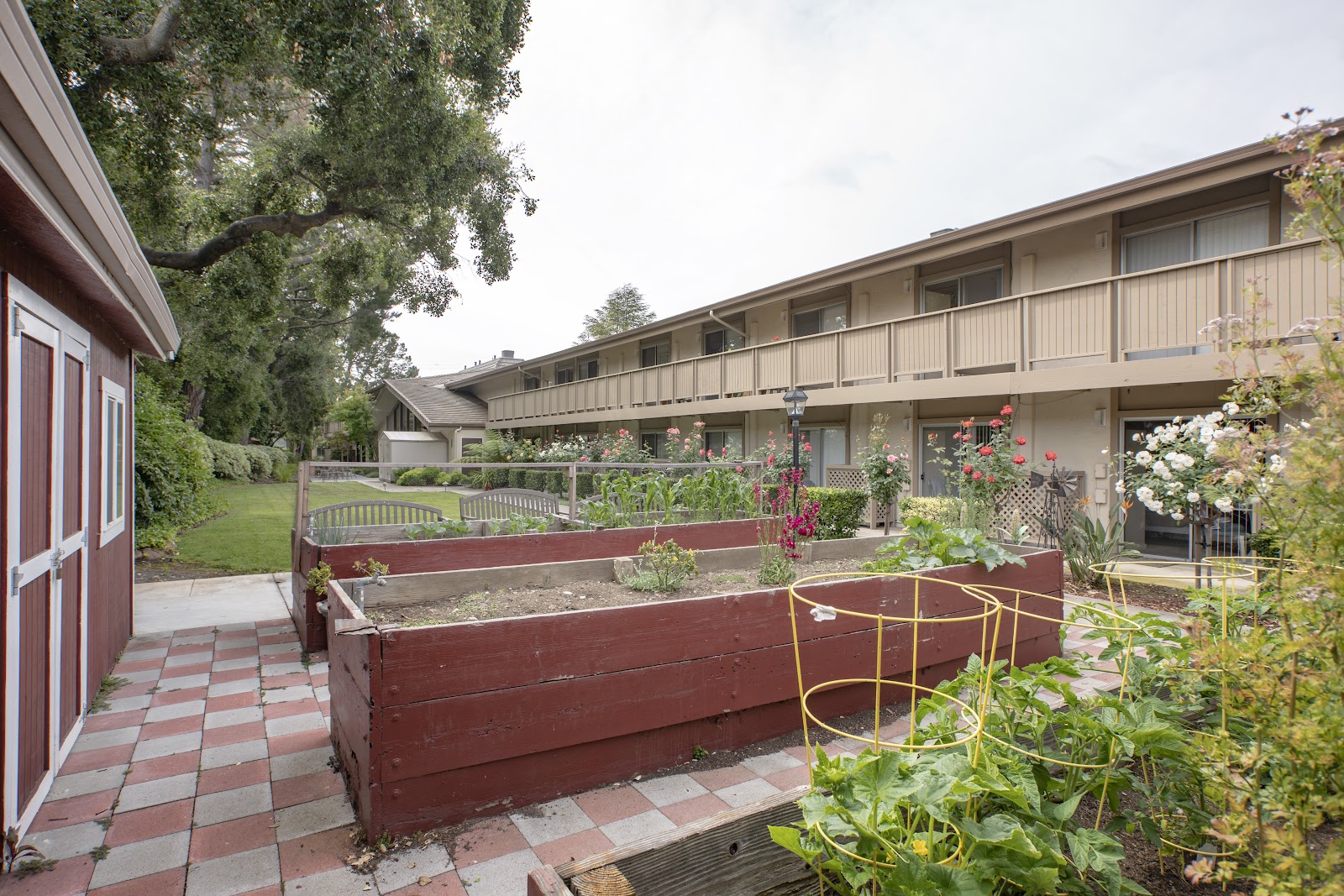 BridgePoint at Los Altos
