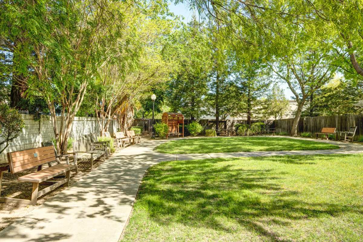 Ivy Park at Laguna Creek