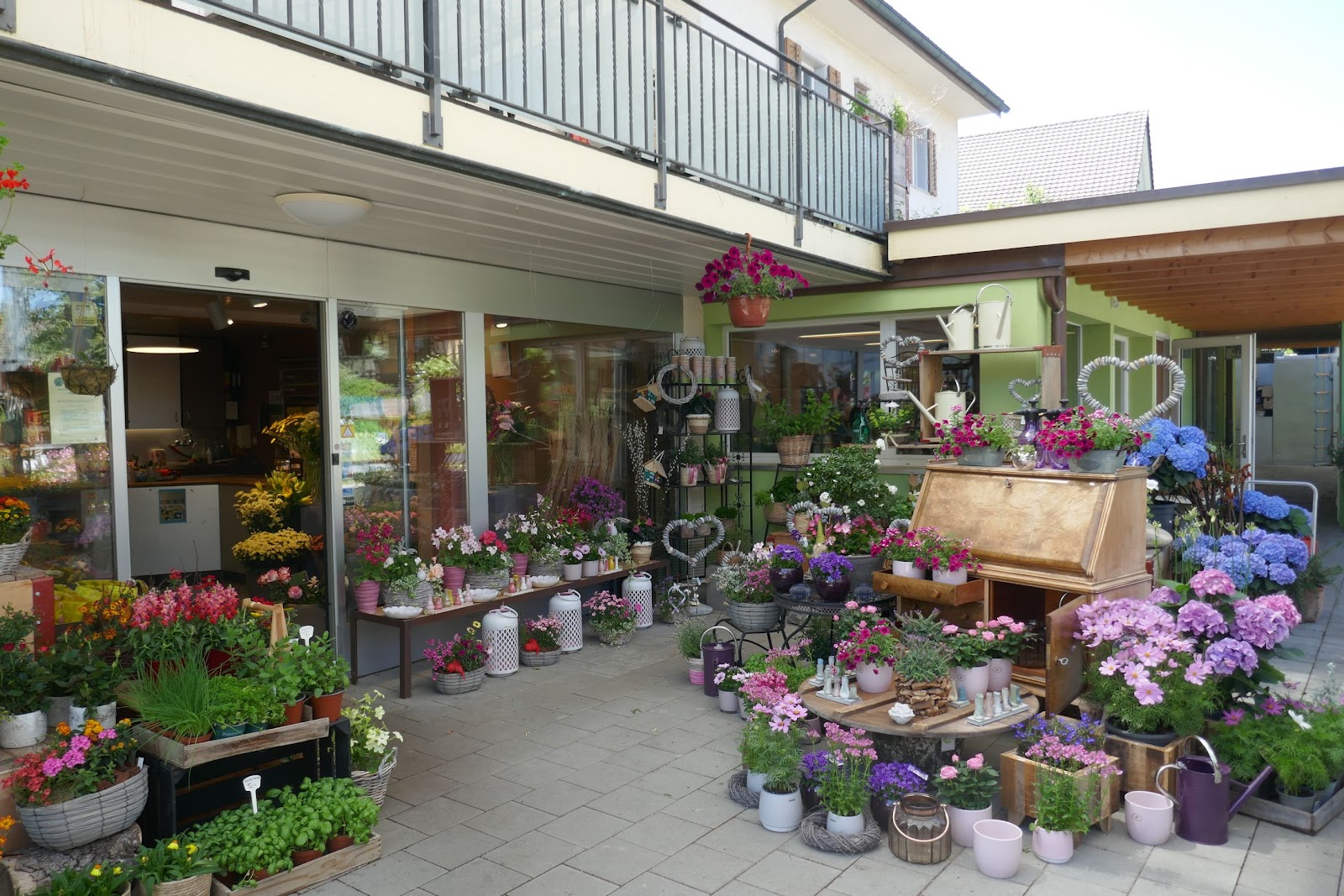 Blumen Eichenberger Oberrieden