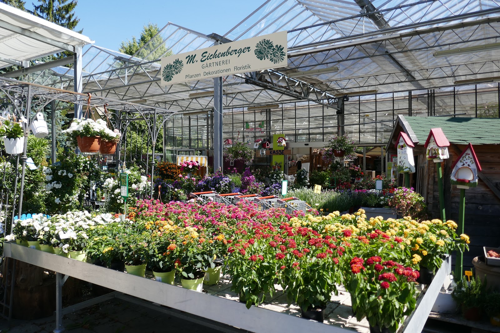 Blumen Eichenberger Oberrieden