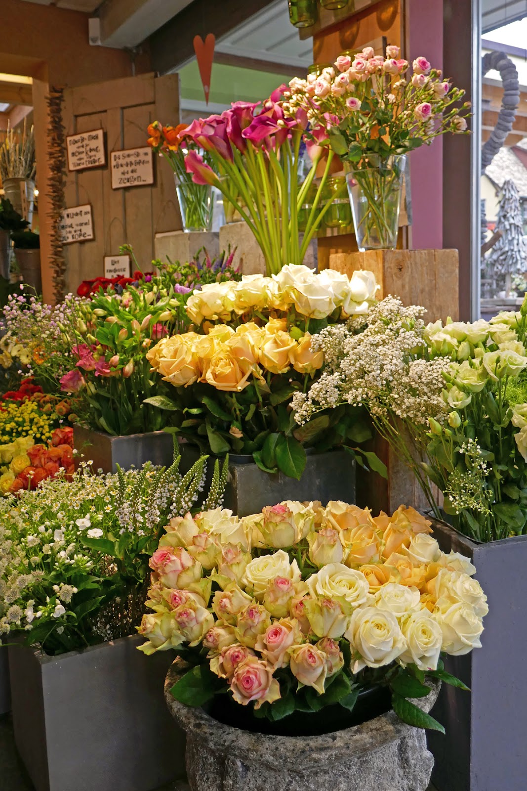 Blumen Eichenberger Oberrieden
