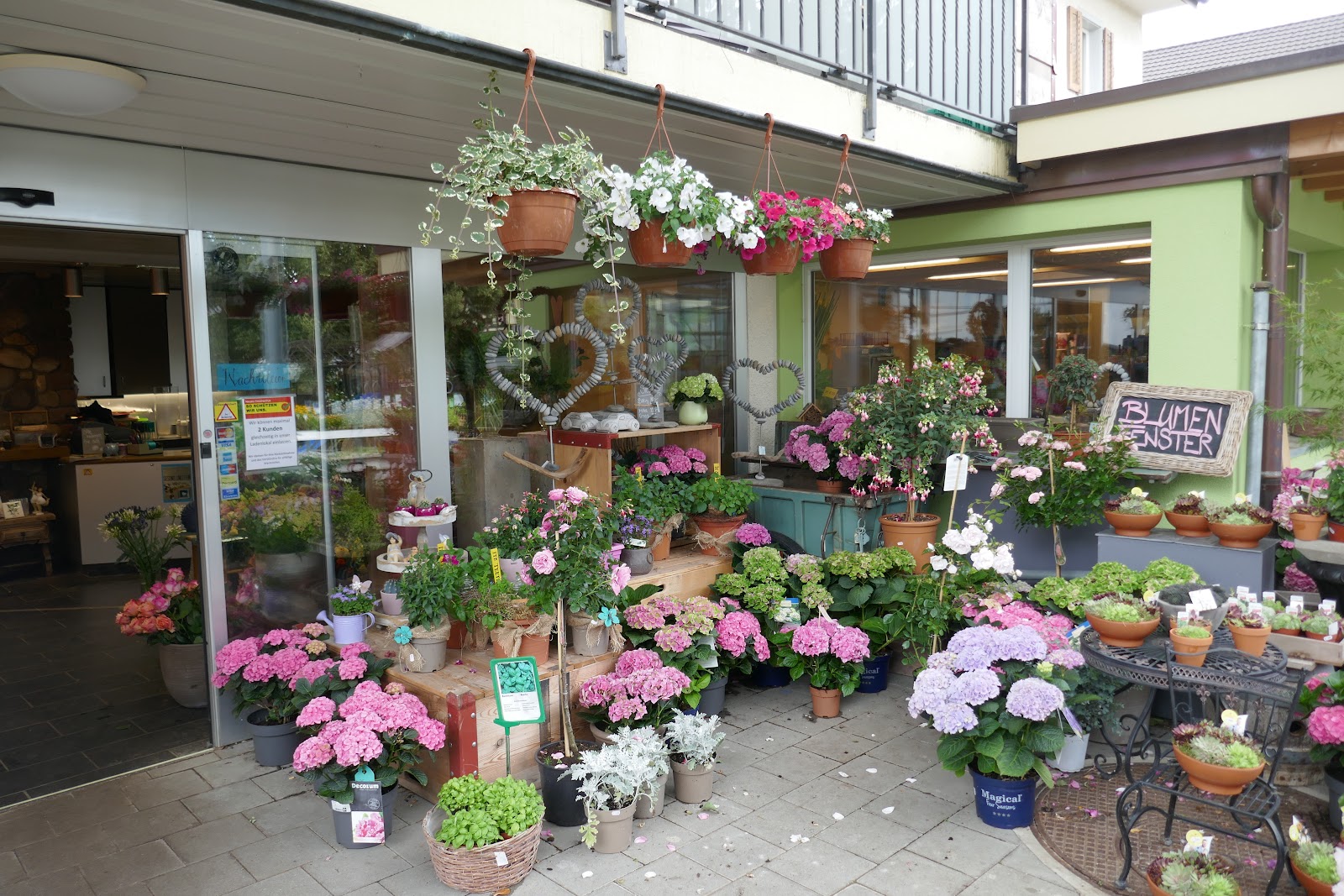 Blumen Eichenberger Oberrieden