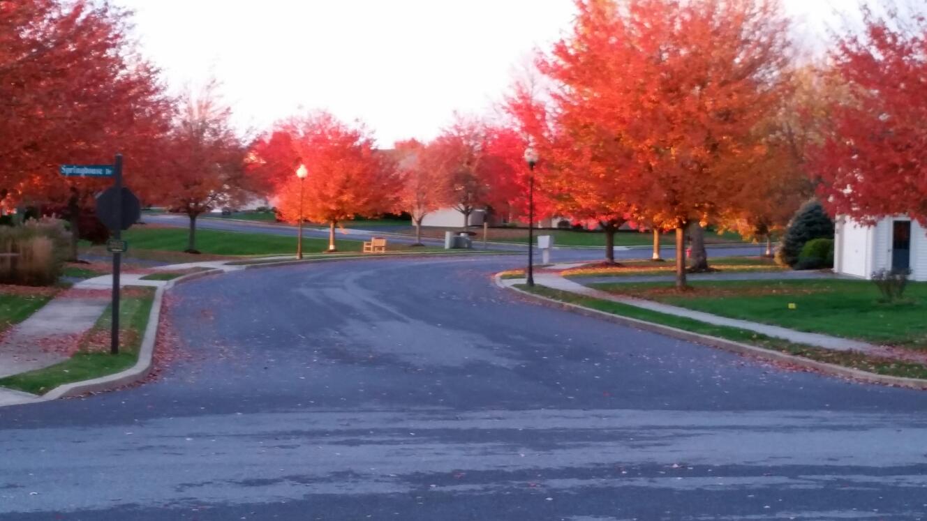 Arbor Gate