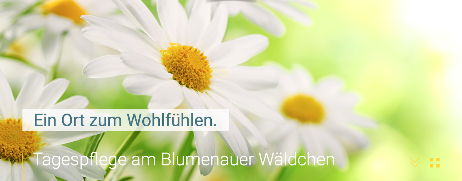 Tagespflege Blumenauer Wäldchen, tegeler Pflege und Gesundheit GmbH