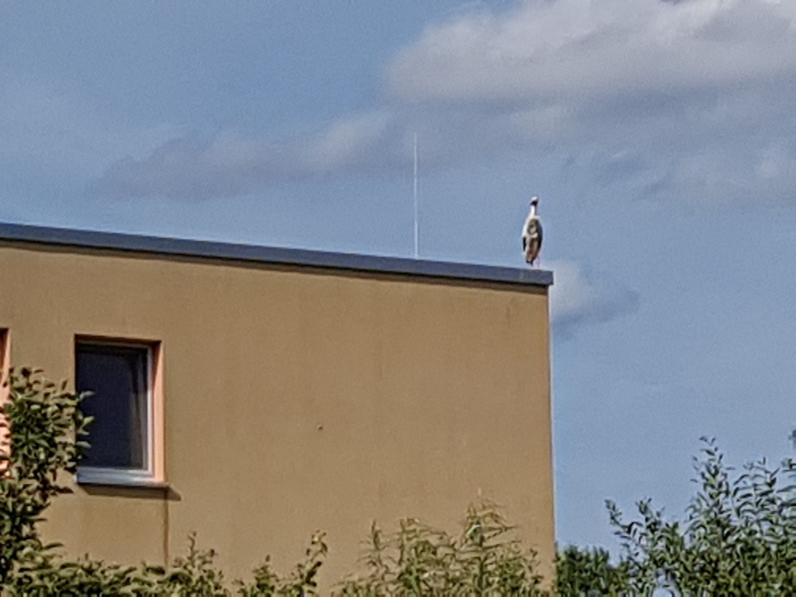 ASB Seniorenzentrum Kirkel-Limbach