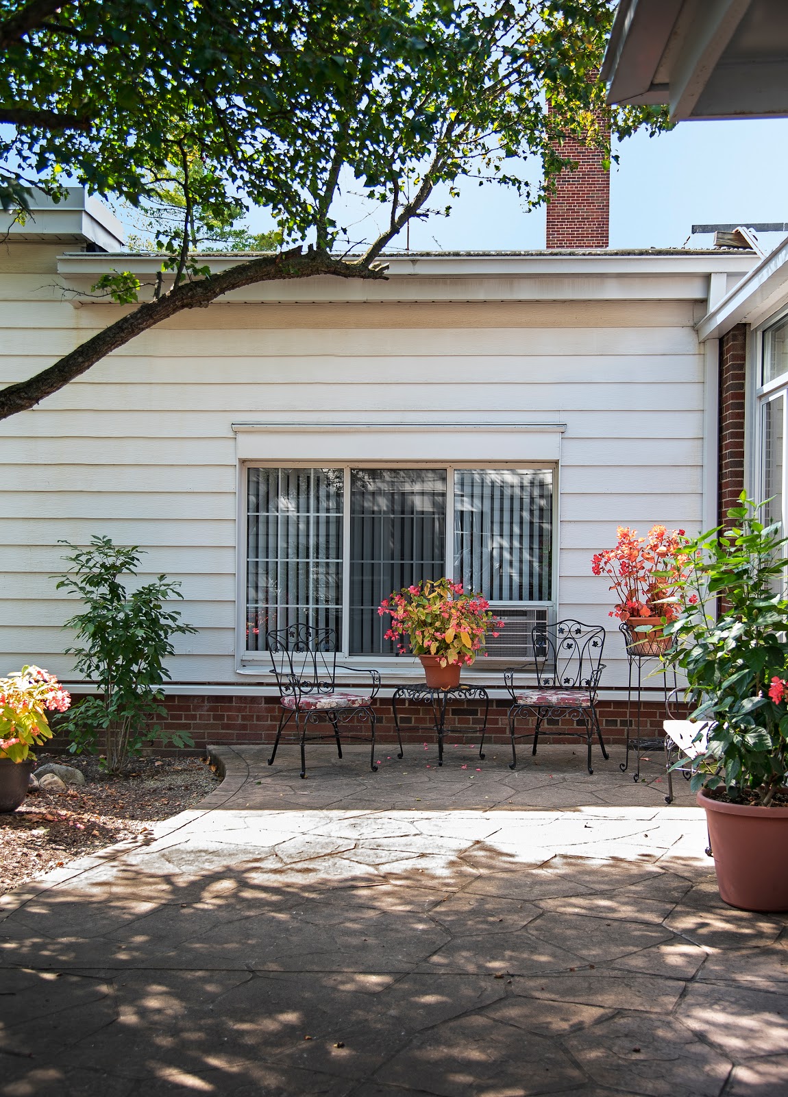 American House Elmwood