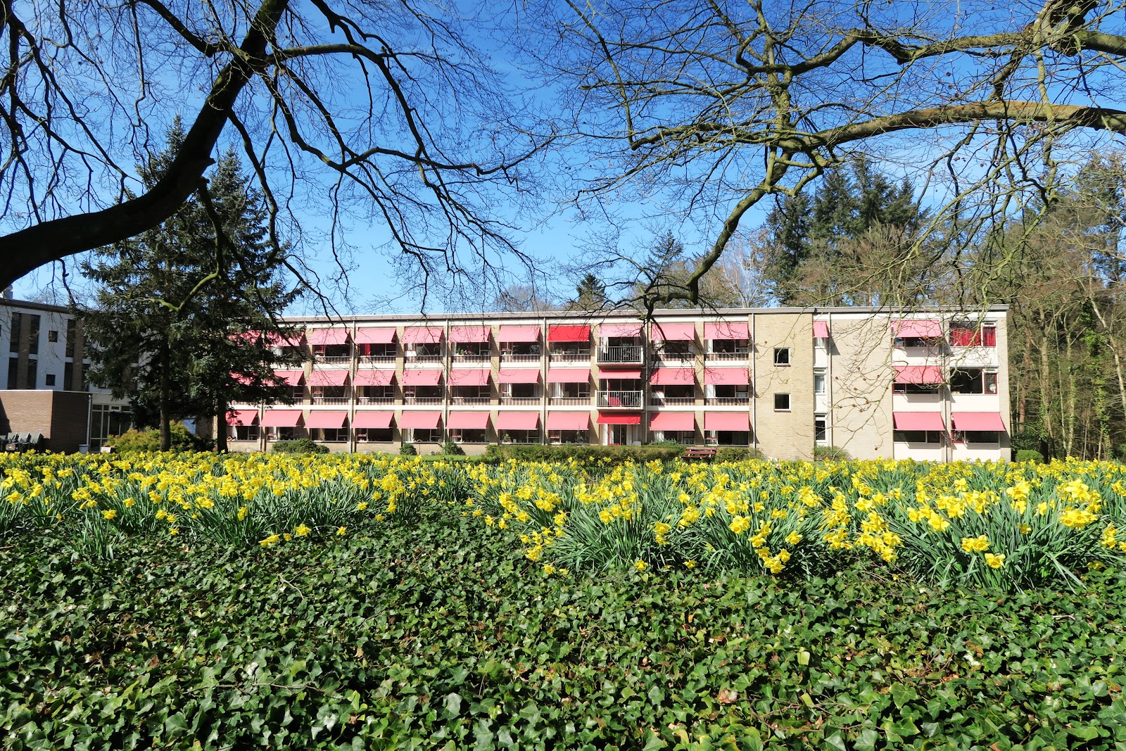 Charim; locatie Amandelhof